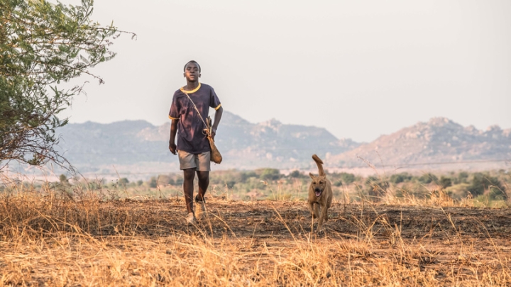 A scene from The Boy Who Harnessed the Wind.