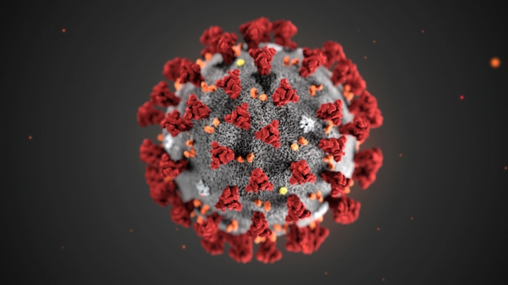 A depiction of a coronavirus molecule