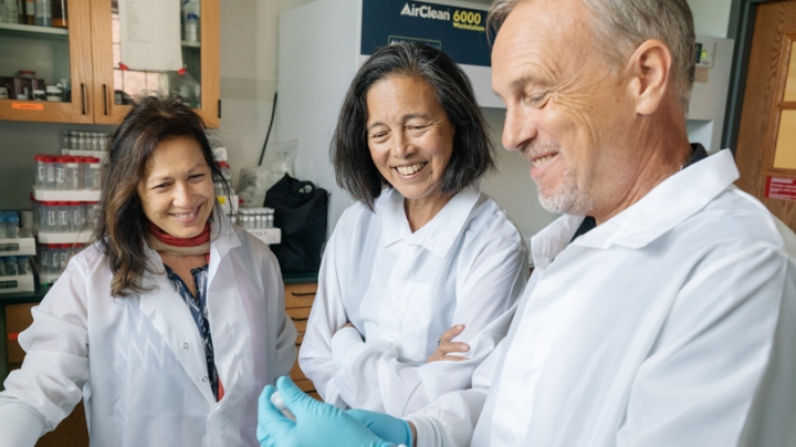 From left, Professor Margaret Karagas, Director of Dartmouth’s Toxic Metals Superfund Research Program Celia Chen, and Research Professor Brian Jackson collaborate on arsenic research. CREDIT: Photo by Eli Burakian ’00