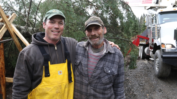 Vermont farmer Sage D'Aiello, left, and his father, Rich D'Aiello, pause during the harvesting of Dartmouth's holiday tree. CREDIT: Photo by Herb Swanson 