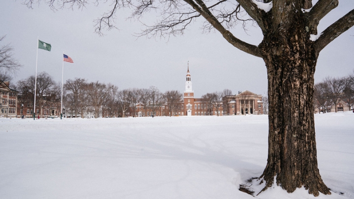 Photo of the Green covered with snow, with Baker-Berry in the background. A large tree is in the right foreground.
