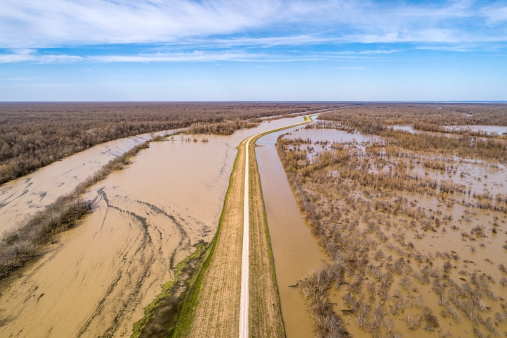 Flooded landscape