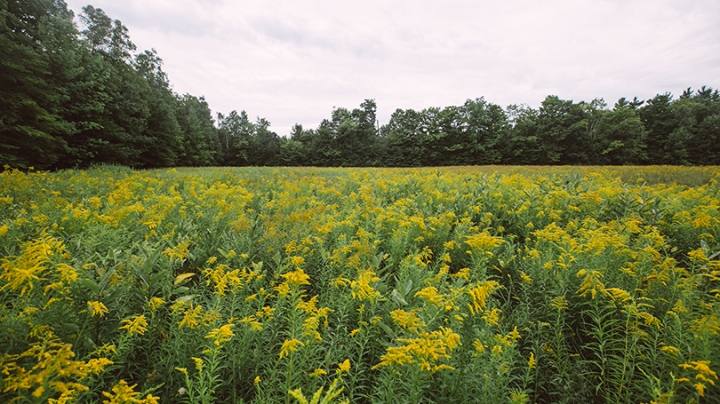 Rennie Farm 