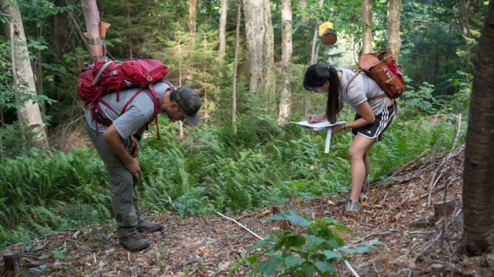 Reo and Cheng inspect vegetation