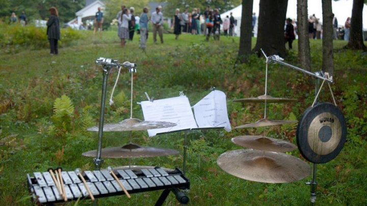 Musical instruments in a field with people in the distance