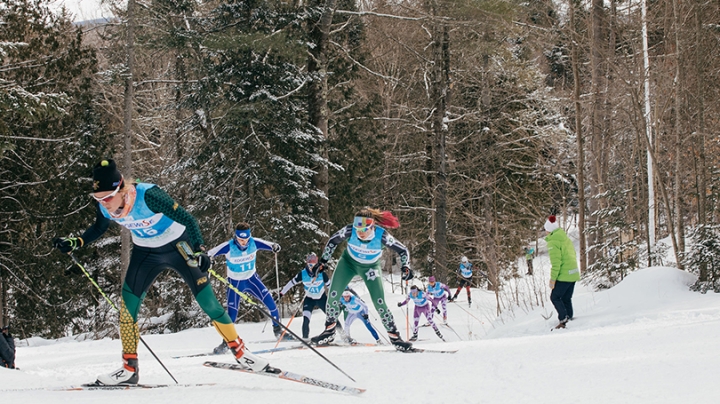 a group of skiers racing