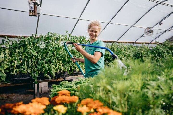 Organic Farm employee Molly McBride '14 waters plants in one of the greenhouses.