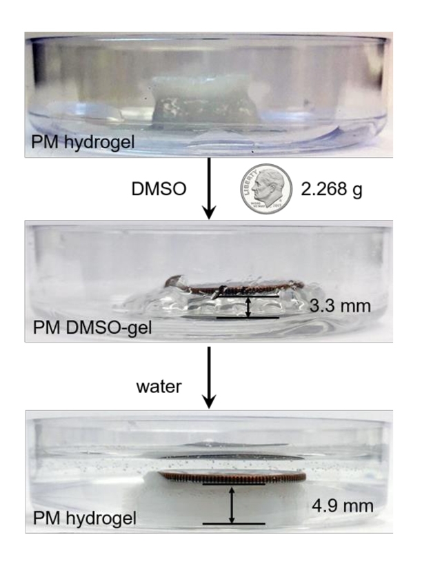 A 3-D printed gel structure