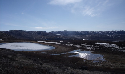 Aquatic habitats in Kangerlussuaq, Greenland