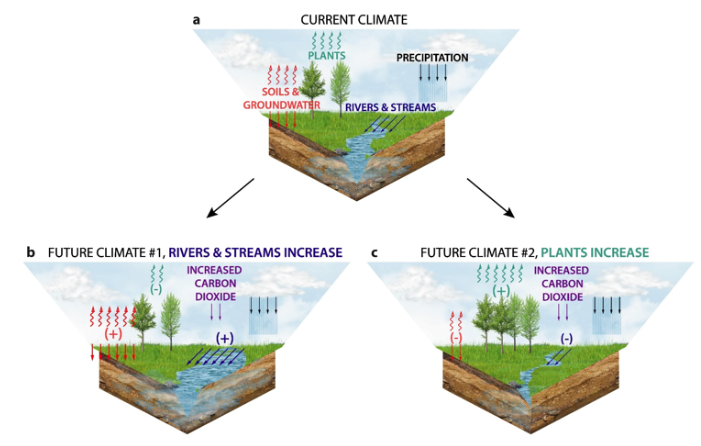 Allocation of water in the current climate and two future climates with high carbon dioxide.