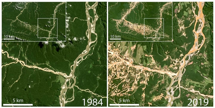 Satellite images used in the study show deforestation and elevated suspended sediment (orange/brown water) due to gold mining operations in the Rio Inambari and Rio Colorado watersheds in Peru. Images are from NASA LandSat. Figure compiled by Evan N. Dethier.
