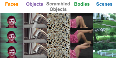 5 object categories