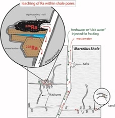 Radium from within rock leaches