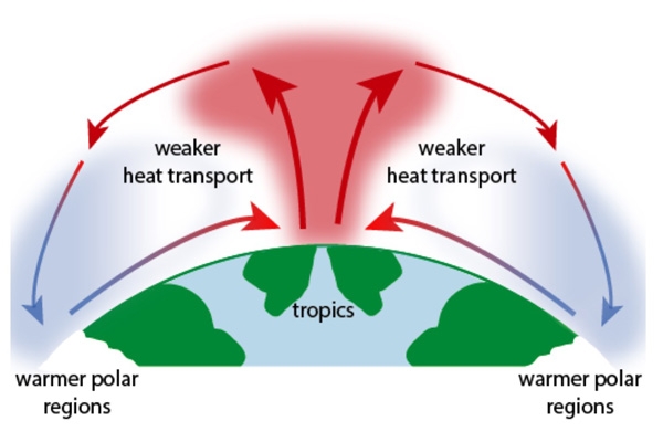 When warming in the poles created a weaker temperature gradient (below), less warm air was transported from the tropics, causing accelerated warming in the region.