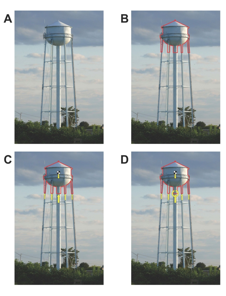 Diagram of how forces affect a water tower. Water tower at Olcott Beach, NY, by Ad Meskens; image was modified by Joshua S. Cetron and used under the Creative Commons Attribution-ShareAlike 3.0 Unported license. A: original image; B: component of consideration highlighted; C: structure with forces labeled correctly; D: structure with forces labeled incorrectly. Modified image used in Figure 1 and in the Supplementary Information of the study.