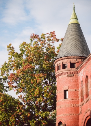 Steeple of Wilson Hall surrounded by foliage