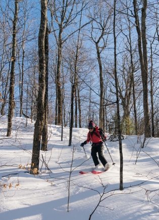 Person backcountry skiing