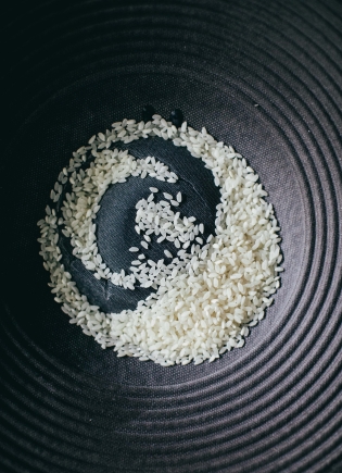 Rice in a speaker cone